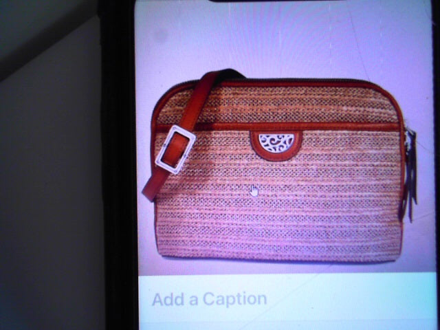 BRIGHTON HANDBAGS