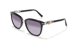 Brighton Sunglasse