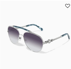 Brighton Sunglasse