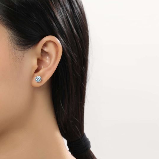 December Birthstone Earrings