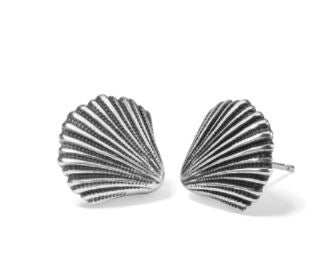 Silver Shells Post Earrings